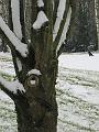 Wandeling De Paalse Plas 24-2-2013 (42)